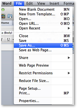 saveAsWord.jpg